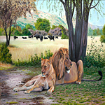 Resting In The Shade